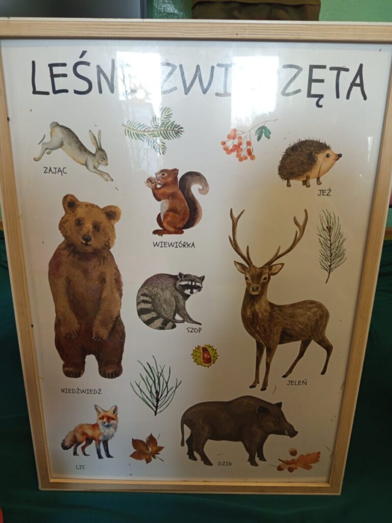 Leśnik2