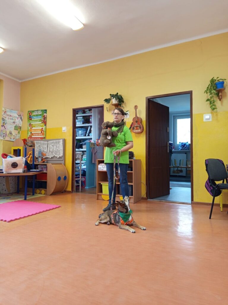 schronisko3
