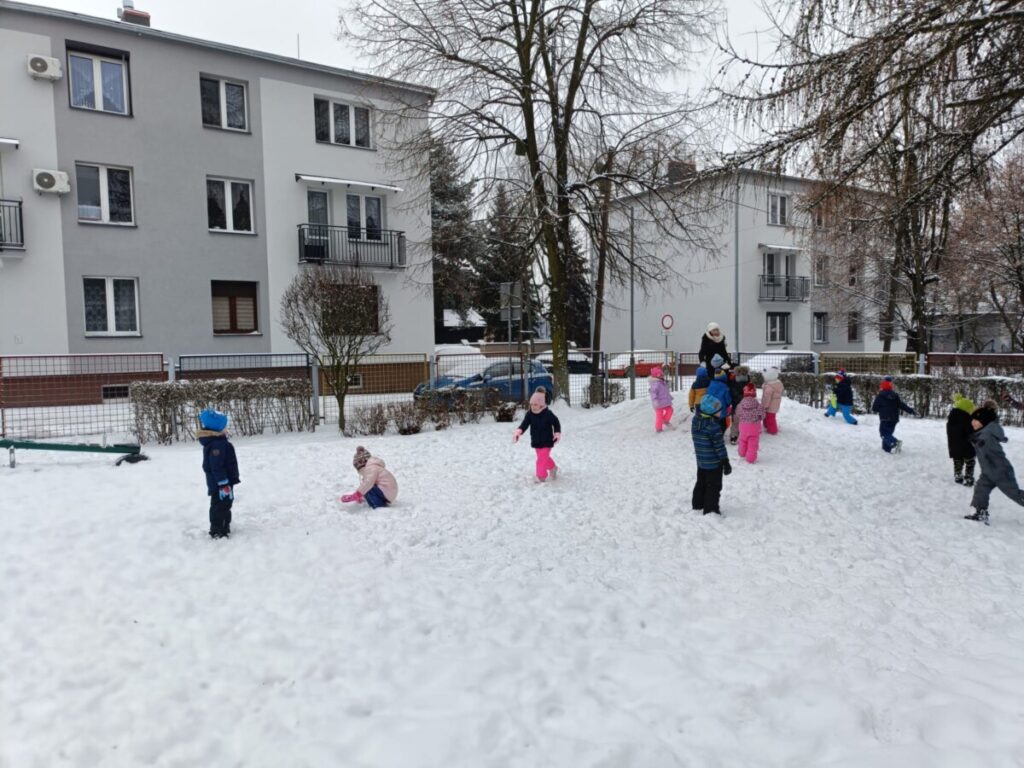śnieg2