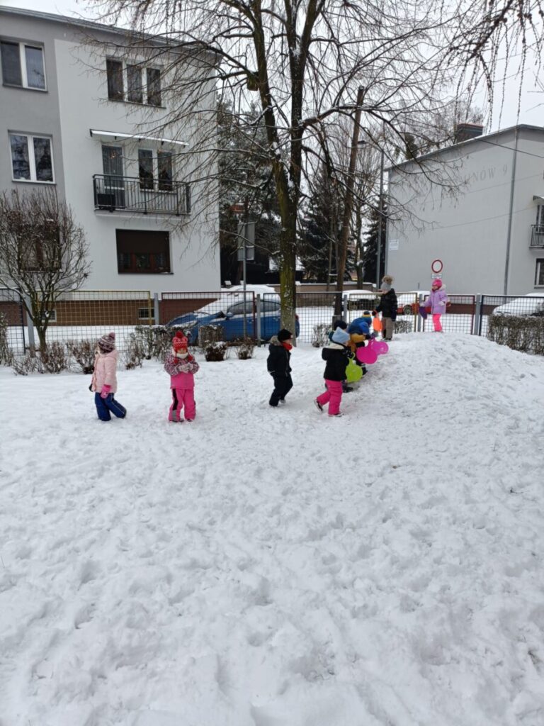 śnieg1