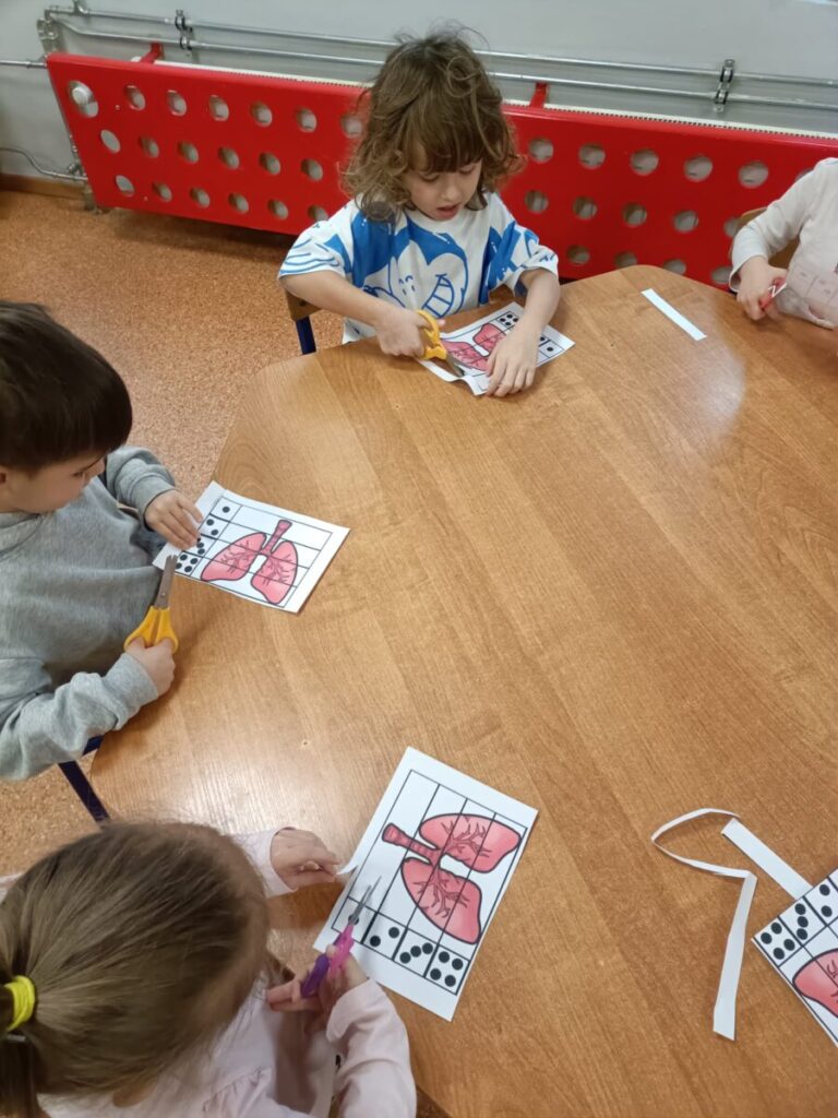 Płuca3