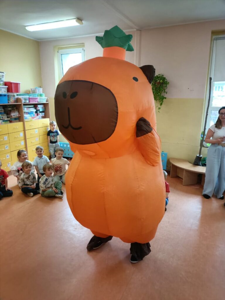 kapibara7